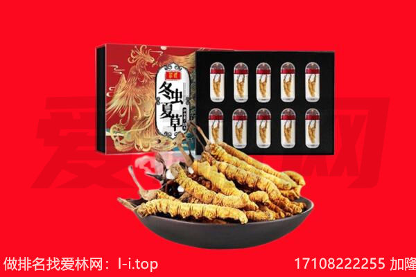 湖州安吉县回收虫草.jpg